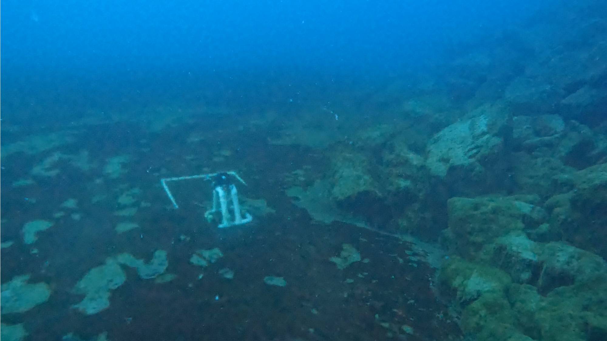 Underwater sinkhole with microbes